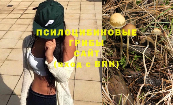 мяу мяу мука Балабаново