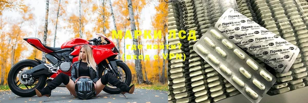 a pvp Белокуриха