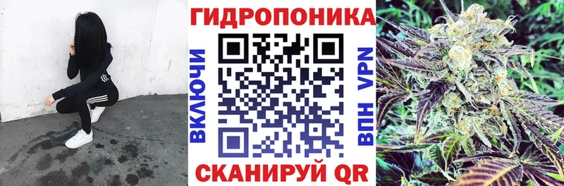 МАРИХУАНА сатива  Купить  Сим 